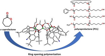 Graphical abstract: Trinuclear zinc calix[4]arenes: synthesis, structure, and ring opening polymerization studies