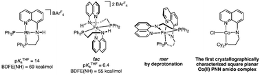 Graphical abstract: Electronic insights into aminoquinoline-based PNHN ligands: protonation state dictates geometry while coordination environment dictates N–H acidity and bond strength