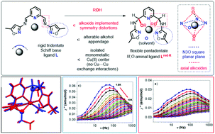 Graphical abstract: Understanding the effect of structural changes on slow magnetic relaxation in mononuclear octahedral copper(ii) complexes