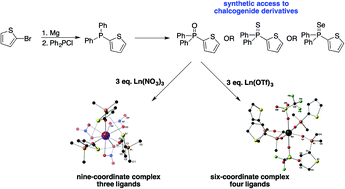 Graphical abstract: Synthesis of diphenyl-(2-thienyl)phosphine, its chalcogenide derivatives and a series of novel complexes of lanthanide nitrates and triflates