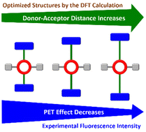 Graphical abstract: Argentivorous molecules with chromophores: dependence of their fluorescence intensities on the distance between a donor and an acceptor