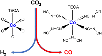 Graphical abstract: Selective photocatalytic CO2 reduction by cobalt dicyanamide