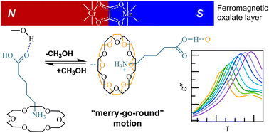 Graphical abstract: Solvent dependence of crystal structure and dielectric relaxation in ferromagnetic [MnCr(oxalate)3]− salt