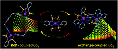 Graphical abstract: Field-induced slow magnetic relaxation behaviours in binuclear cobalt(ii) metallocycles and exchange-coupled clusters