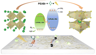 Graphical abstract: Highly stable halide perovskites for photocatalysis via multi-dimensional structure design and in situ phase transition