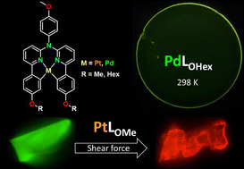 Graphical abstract: Room-temperature luminescence from Pd(ii) and Pt(ii) complexes: from mechanochromic crystals to flexible polymer matrices