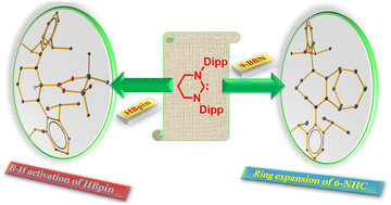 Graphical abstract: Versatile chemistry of six-membered NHC with boranes: bromination at sp3 borane, activation of the B–H bond of HBpin, and ring expansion of NHC