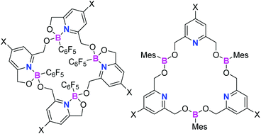 Graphical abstract: Towards macrocyclic frustrated Lewis pairs