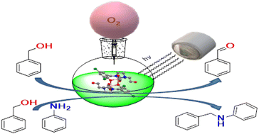 Graphical abstract: A binuclear Cu(ii) complex as an efficient photocatalyst for N-alkylation of aromatic amines