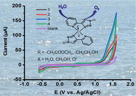 Graphical abstract: Influence of the pendant groups on electrochemical water oxidation catalyzed by cobalt(ii) triazolylpyridine complexes