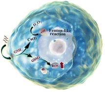 Graphical abstract: Facile synthesis of a glutathione-depleting Cu(ii)-half-salamo-based coordination polymer for enhanced chemodynamic therapy