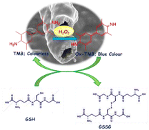 Graphical abstract: A galvanic replacement reaction and the Kirkendall effect in the room-temperature synthesis of tubular NiSe2: a nanozyme catalyst with peroxidase-like activity