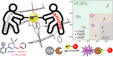 Graphical abstract: The effect of outer-sphere anions on the spectroscopic response of metal-binding chemosensors