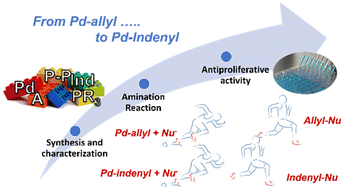 Graphical abstract: Cationic palladium(ii)-indenyl complexes bearing phosphines as ancillary ligands: synthesis, and study of indenyl amination and anticancer activity