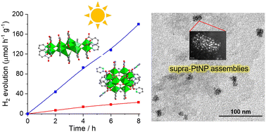 Graphical abstract: New picolinate-functionalized titanium-oxide clusters: syntheses, structures and photocatalytic H2 evolution