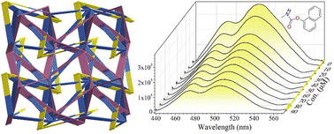 Graphical abstract: A 3D/3D hetero-interpenetrated MOF with a novel (3,9)-c net and 6-c lcy net for the fluorescence detection of carbaryl