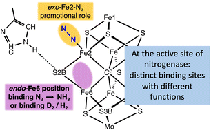 Graphical abstract: Calculating the chemical mechanism of nitrogenase: new working hypotheses