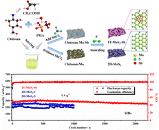Graphical abstract: Sb-Doped metallic 1T-MoS2 nanosheets embedded in N-doped carbon as high-performance anode materials for half/full sodium/potassium-ion batteries