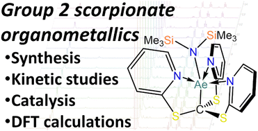 Graphical abstract: Synthesis, characterisation and reactivity of group 2 complexes with a thiopyridyl scorpionate ligand