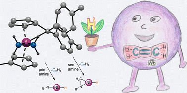 Graphical abstract: A niobium pentafulvene ethylene complex: synthesis, properties and reaction pathways