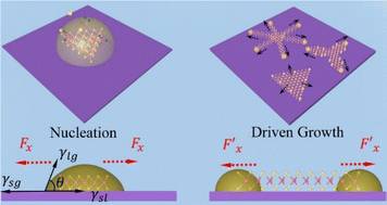 Graphical abstract: Molten-droplet-driven growth of MoS2 flakes with controllable morphology transition for hydrogen evolution reactions