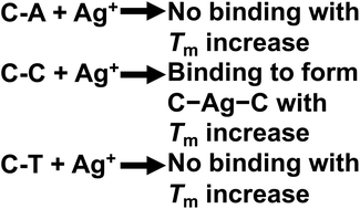 Graphical abstract: Importance of isothermal titration calorimetry for the detection of the direct binding of metal ions to mismatched base pairs in duplex DNA