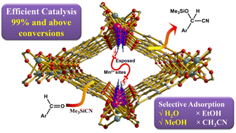 Graphical abstract: Open metal site (OMS)-inspired investigation of adsorption and catalytic functions in a porous metal–organic framework (MOF)
