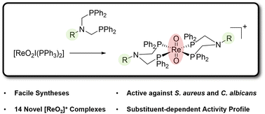 Graphical abstract: Synthesis and anti-microbial activity of a new series of bis(diphosphine) rhenium(v) dioxo complexes
