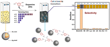 Graphical abstract: Core–shell Au–Ag nanoparticles as colorimetric sensing probes for highly selective detection of a dopamine neurotransmitter under different pH conditions