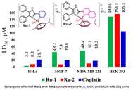 Graphical abstract: In vitro studies on the selective cytotoxic effect of luminescent Ru(ii)-p-cymene complexes of imidazo-pyridine and imidazo quinoline ligands