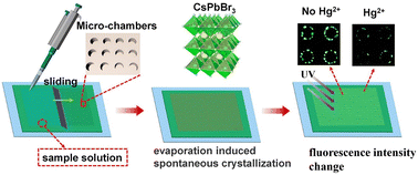 Graphical abstract: Ultrasensitive detection of mercury(ii) in aqueous solutions via the spontaneous precipitation of CsPbBr3 crystallites