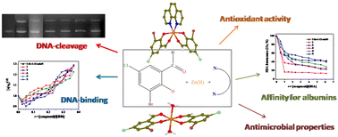 Graphical abstract: Zinc(ii) complexes of 3-bromo-5-chloro-salicylaldehyde: characterization and biological activity