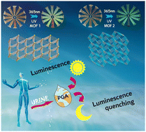 Graphical abstract: Two novel zinc-based MOFs as luminescence sensors to detect phenylglyoxylic acid
