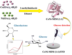 Graphical abstract: Prism-like bimetallic (Ni–Co) alkaline carboxylate-based non-enzymatic sensor capable of exceptionally high catalytic activity towards glucose