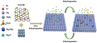 Graphical abstract: Ni3Fe/BC nanocatalysts based on biomass charcoal self-reduction achieves excellent hydrogen storage performance of MgH2