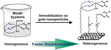 Graphical abstract: Iron(ii)-α-keto acid complexes of tridentate ligands on gold nanoparticles: the effect of ligand geometry and immobilization on their dioxygen-dependent reactivity