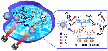 Graphical abstract: MOF-coated upconversion nanoconstructs for synergetic photo-chemodynamic/oxygen-elevated photodynamic therapy