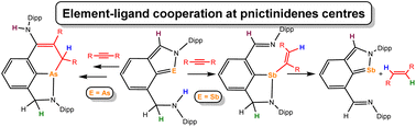 Graphical abstract: Beyond simple hetero Diels–Alder cycloadditions. A new type of element–ligand cooperativity at N,C,N-coordinated arsinidene and stibinidene centres in the reaction with an electron-deficient alkyne