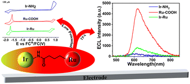 Graphical abstract: Synthesis and comparison study of electrochemiluminescence from mononuclear and corresponding heterodinuclear Ir–Ru complexes via an amide bond as a bridge