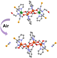 Graphical abstract: Air oxidation-induced single-crystal-to-single-crystal transformation of mixed-valence tetranuclear Fe(ii)–Fe(iii) complexes