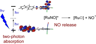 Graphical abstract: Two-photon absorption-based delivery of nitric oxide from ruthenium nitrosyl complexes