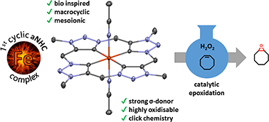 Graphical abstract: The first macrocyclic abnormally coordinating tetra-1,2,3-triazole-5-ylidene iron complex: a promising candidate for olefin epoxidation