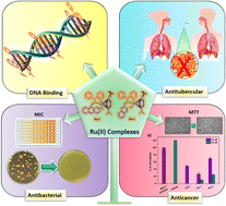 Graphical abstract: DNA binding, antitubercular, antibacterial and anticancer studies of newly designed piano-stool ruthenium(ii) complexes