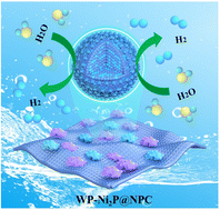 Graphical abstract: In situ encapsulation of abundant WP/Ni2P heterointerfaces in N,P co-doped two-dimensional carbon frameworks for boosting hydrogen evolution electrocatalysis