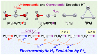 Graphical abstract: Theoretical study on the mechanism of the hydrogen evolution reaction catalyzed by platinum subnanoclusters