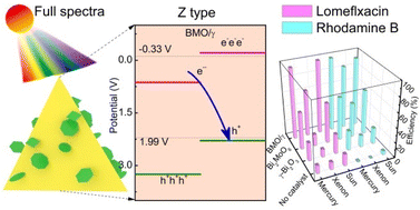 Graphical abstract: Nanosheets loaded on tetrahedral surfaces form a Z-type Bi2MoO6/γ-Bi2O3 heterojunction to enhance the photocatalytic degradation activity of lomefloxacin and Rhodamine B