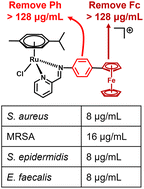 Graphical abstract: A Ru(ii)-arene-ferrocene complex with promising antibacterial activity