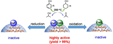 Graphical abstract: Transfer hydrogenation of phenol over Co-CoOx/N-doped carbon: boosted catalyst performance enabled by synergistic catalysis between Co0 and Coδ+