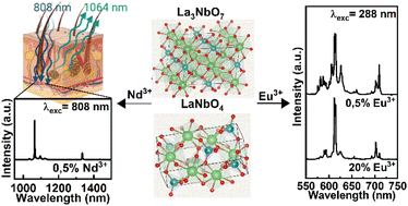 Graphical abstract: Red and near-infrared emitting phosphors based on Eu3+- or Nd3+-doped lanthanum niobates prepared by the sol–gel route