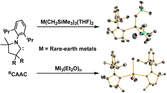 Graphical abstract: Trivalent rare-earth metal cyclic (alkyl)(amino)carbene complexes